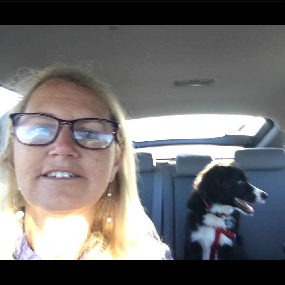 Meet your Posher, Amy